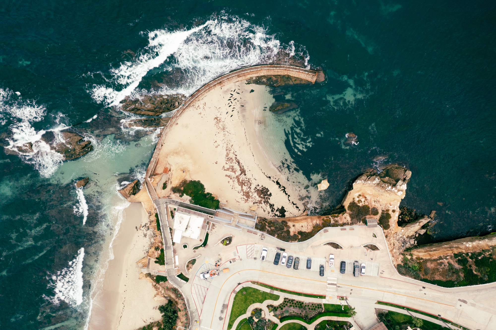 Beautiful beach next to the cliff with big palm tree